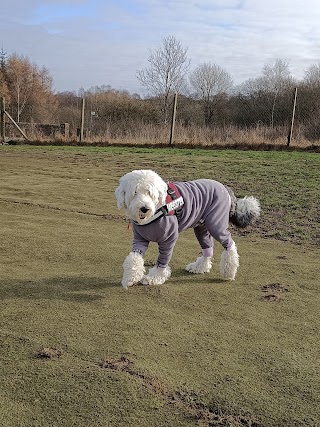 Run Free Dog Fields - Bargeddie