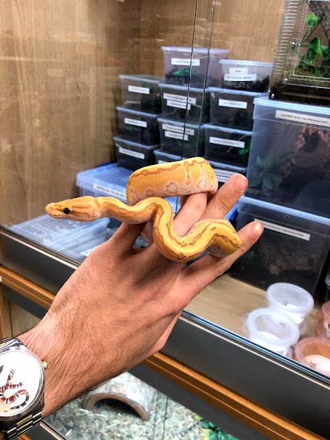 Slitherin Reptiles Ltd