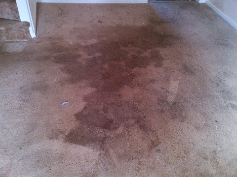 Xtract2clean Carpet Cleaning