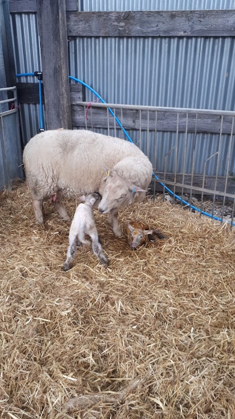 Westpoint Farm Vets, Winchester