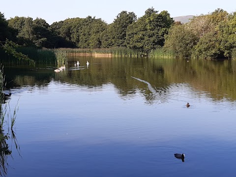 Straiton Pond Local Nature Reserve