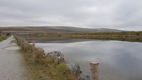 Great Trowlesworthy Tor