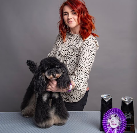 Emma Rose Pet Styling Professional Dog Groomer