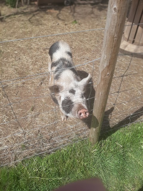 St James Community Farm