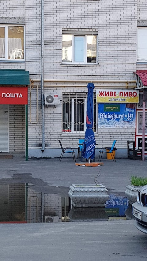 Живе Пиво (МРТ)