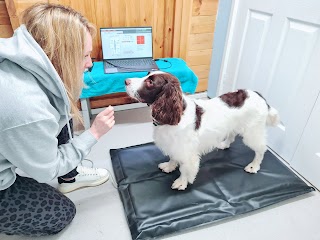 Yorkshire Canine Veterinary Physiotherapy