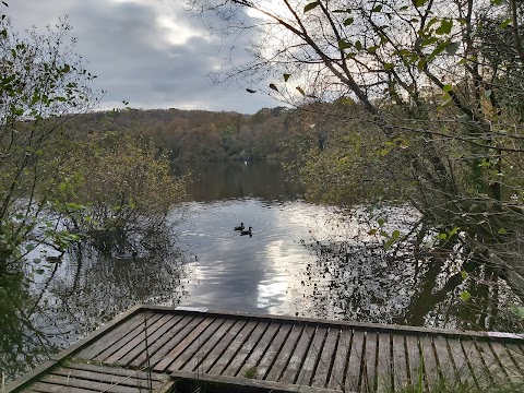 Decoy Country Park