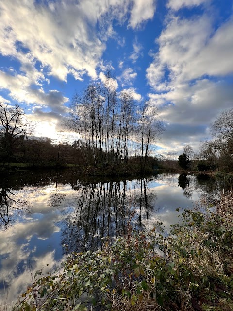 Lloyds Meadow Glamping