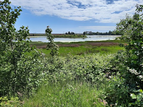 Booterstown Nature Reserve