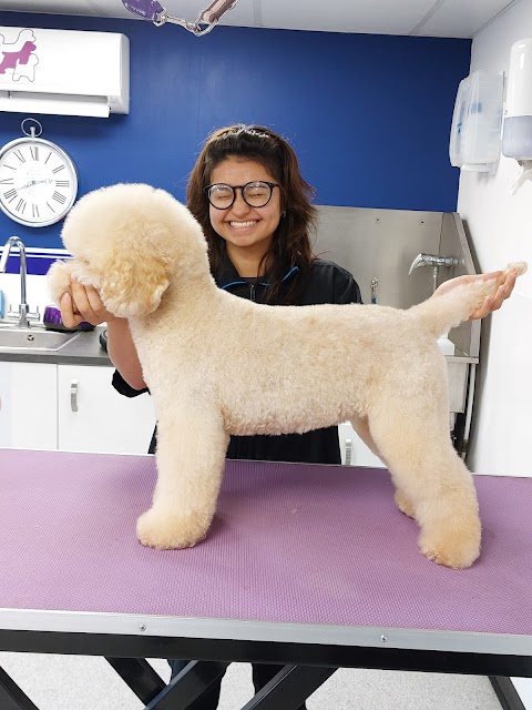 Sue Oliver Dog Grooming Studio