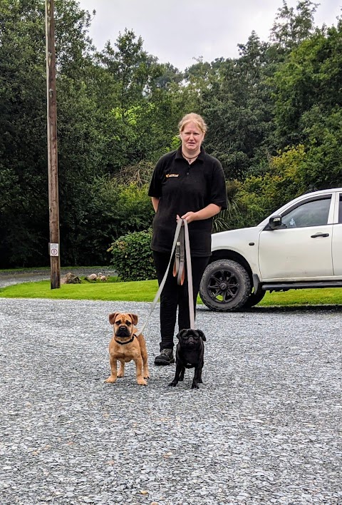 Longford Chase Boarding Kennels & Cattery