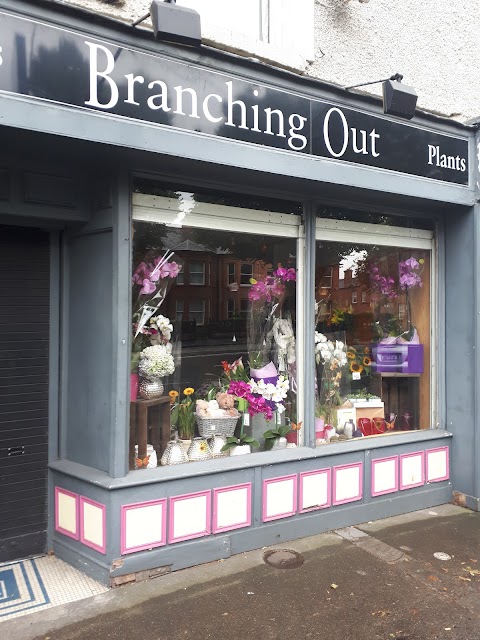 Branching Out