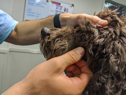 Wagtails Veterinary Centre