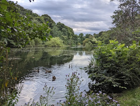 Hermitage of Braid and Blackford Hill Local Nature Reserve