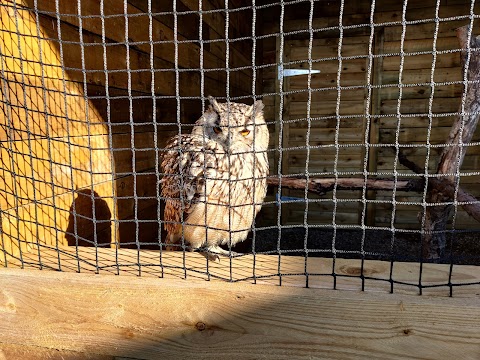 Hobbledown Adventure Farm Park and Zoo