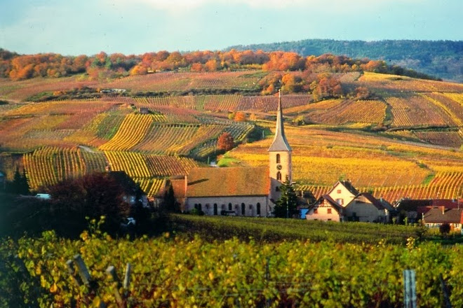 Wolff-Dresch vins d'alsace, Blienschwiller, France