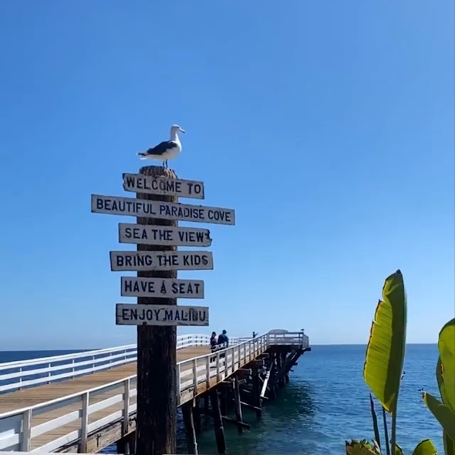 Paradise Cove Beach Café