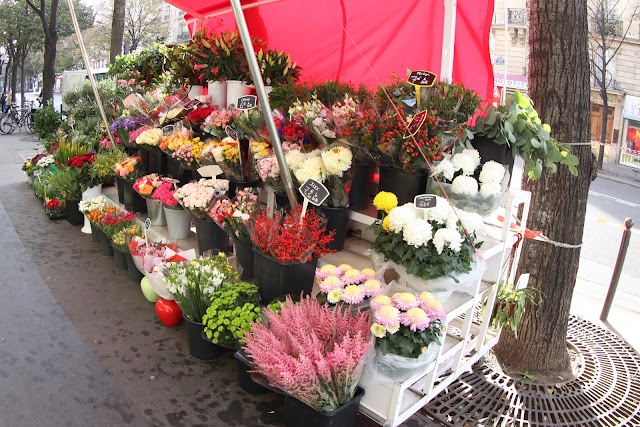 FLEURYAN PRIMEUR ET FLEURISTE