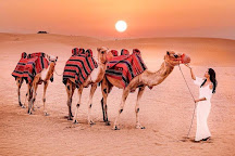 Morning Desert Safari, Dubai, United Arab Emirates