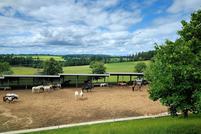 Fondation pour le cheval Le Roselet, Les Breuleux, Switzerland