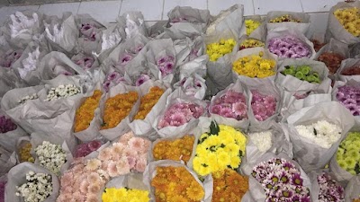 photo of Cattleya Florist