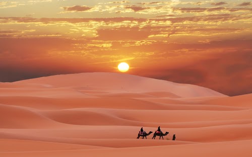 Desert Day Tours