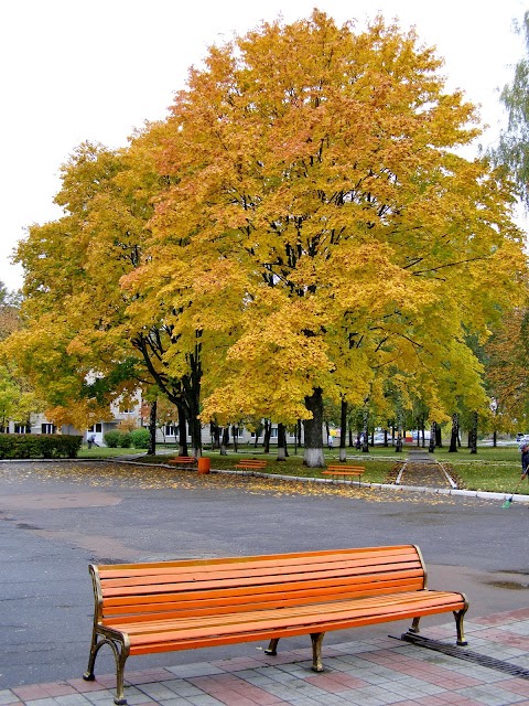 Їдальня СумДПУ імені А.С.Макаренка