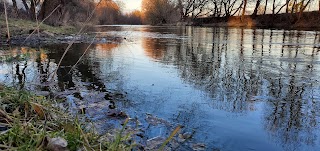 Гарне місце у верби