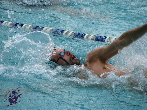 Masters Swim Club Скажені Карасі