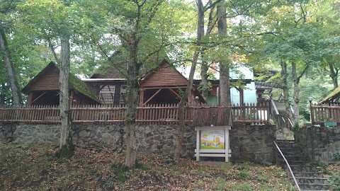 Forest House