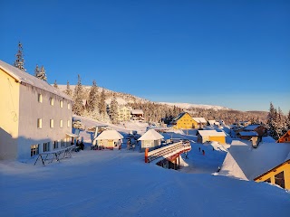 Карпатська Чайка