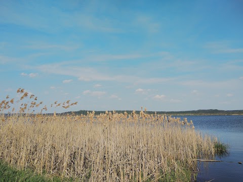 ТоВ Хвіц