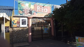 Cinema Rio