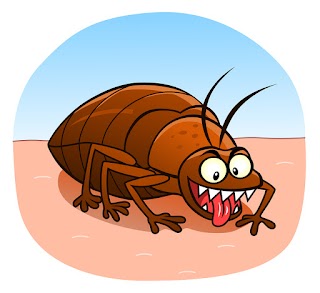 Cucaracha