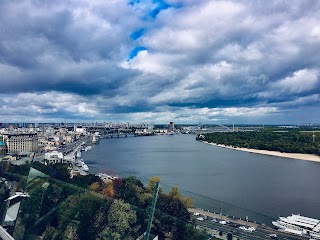 Пам'ятник жабі