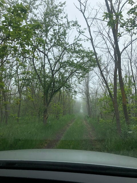 Набережна між Лебедівкою і Ніколаевкою (новий Тарханкут)