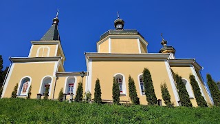 Vyshnivets Palace