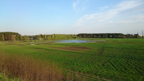 Садівниче товариство Індустрія