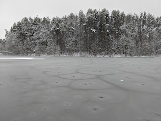 Лісова Казка