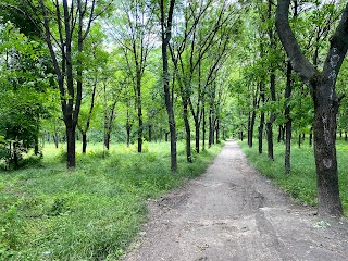 лісопарк Дружби народів