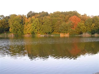 Копайгородський парк