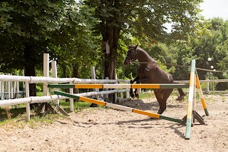 Конюшня "Lucky Horse"