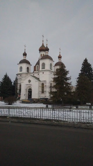 Козелецький районний центр первинної медико-санітарної допомоги