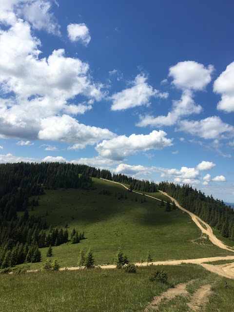 Джипінг в Карпатах