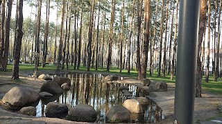 lake fountain