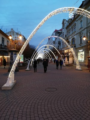 Пам'ятник Опанасу Заливасі