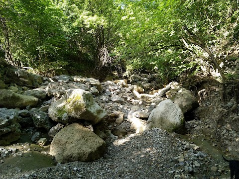 Ландшафтний заказник Урочище Совий яр