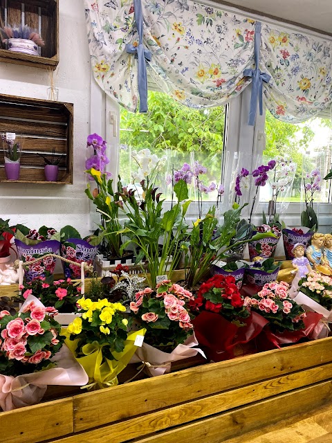 Магазин квітів "Soloflowersss"