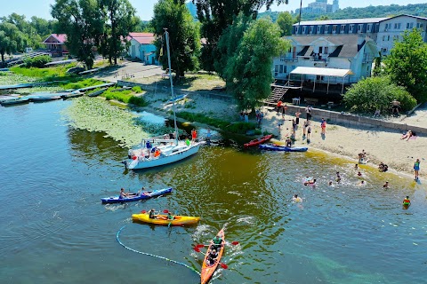 Буревісник