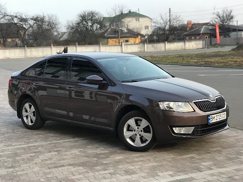 СТО. Шиномонтаж вантажний, сільськогосподарської техніки. Автомагазин. Мийка